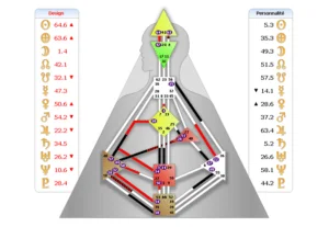 sophie-fromenteze-analyste-design-humain