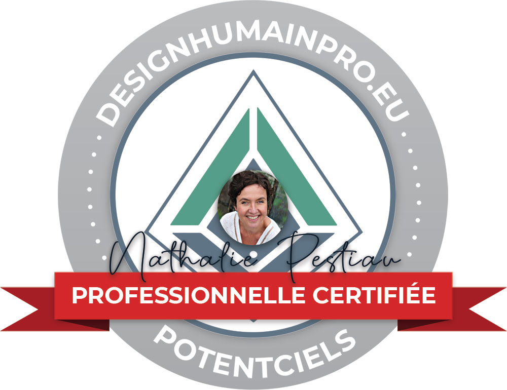 logo-nathalie-pestiau-analyste-design-humain