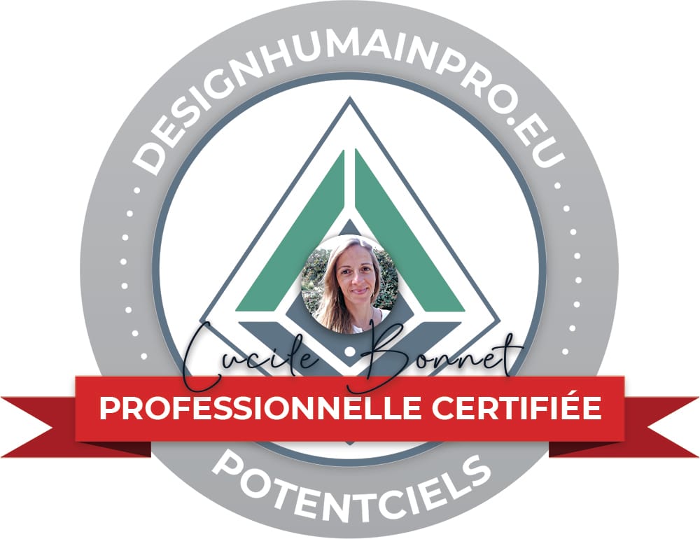 logo-lucile-bonnet-analyste-design-humain