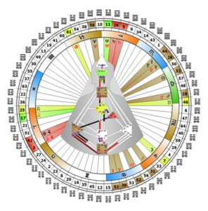 mandala-fiore-parigi-analyste-design-humain