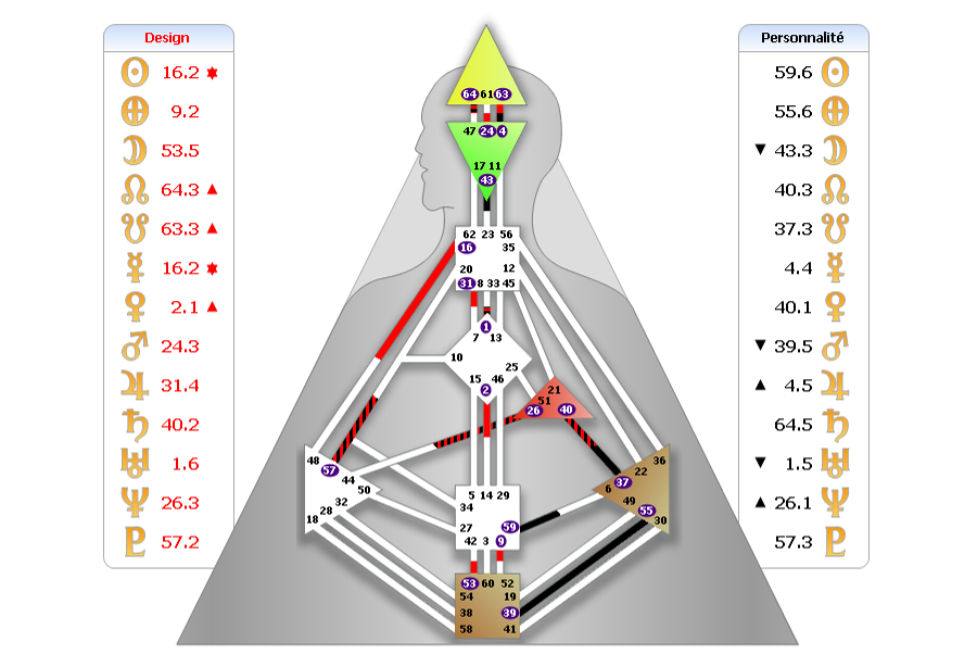 muriel-liviero-analyste-design-humain