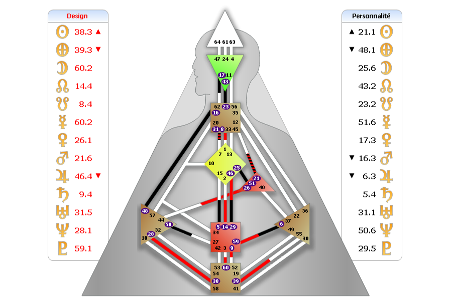 dominique-gross-analyste-design-humain